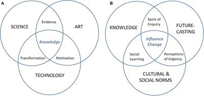 Examining the Potential of Art-Science Collaborations in the Anthropocene: A Case Study of Catching a Wave